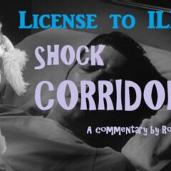 License to Ill: Shock Corridor