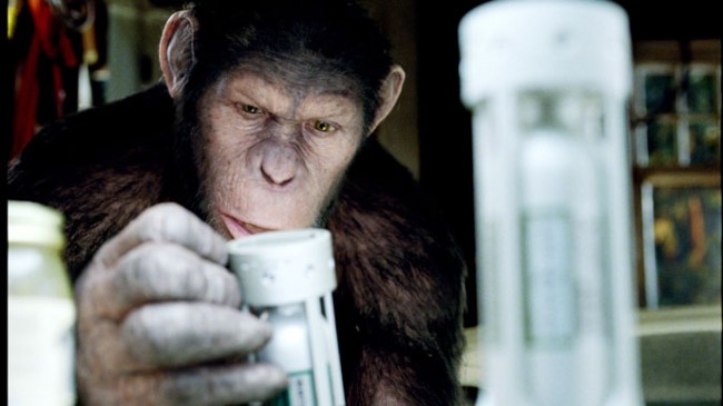 photo-la-planete-des-singes-les-origines-rise-of-the-planet-of-the-apes-2011-1